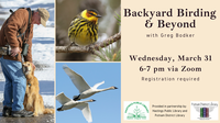 Backyard Birding and Beyond