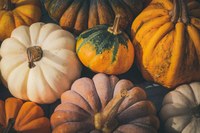 Preschool Storytime - Pumpkin Party