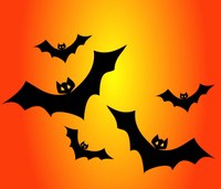 Science Storytime - Batty for bats!