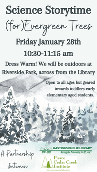 Science Storytime: Evergreen Trees