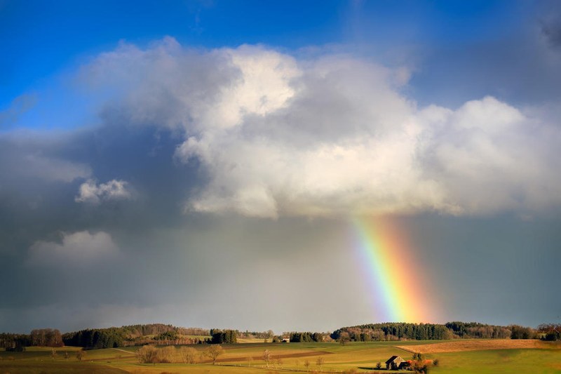 Science Storytime - Raindrops to Rainbows Science Storytime - Raindrops to Rainbows
