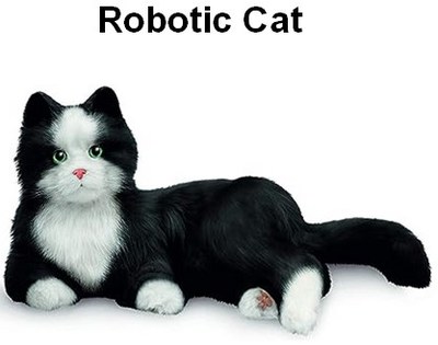 Robotic Cat