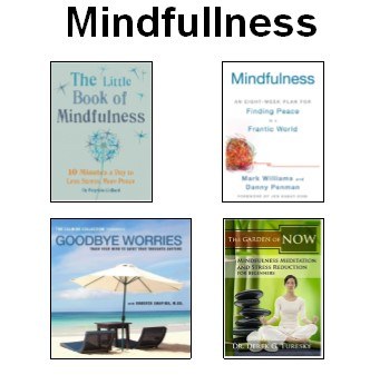 Library of Things Mindfullness kit with dvd, cd and two books