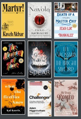 New Adult Fiction Book Images 8-29-24