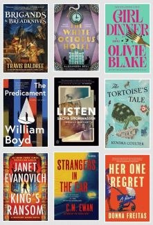 New Adult Fiction & Large Print Title Images as of 11/19/2025