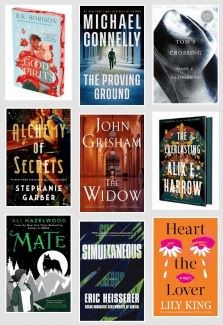 New Adult Fiction & Large Print Title Images as of 11/4/2025